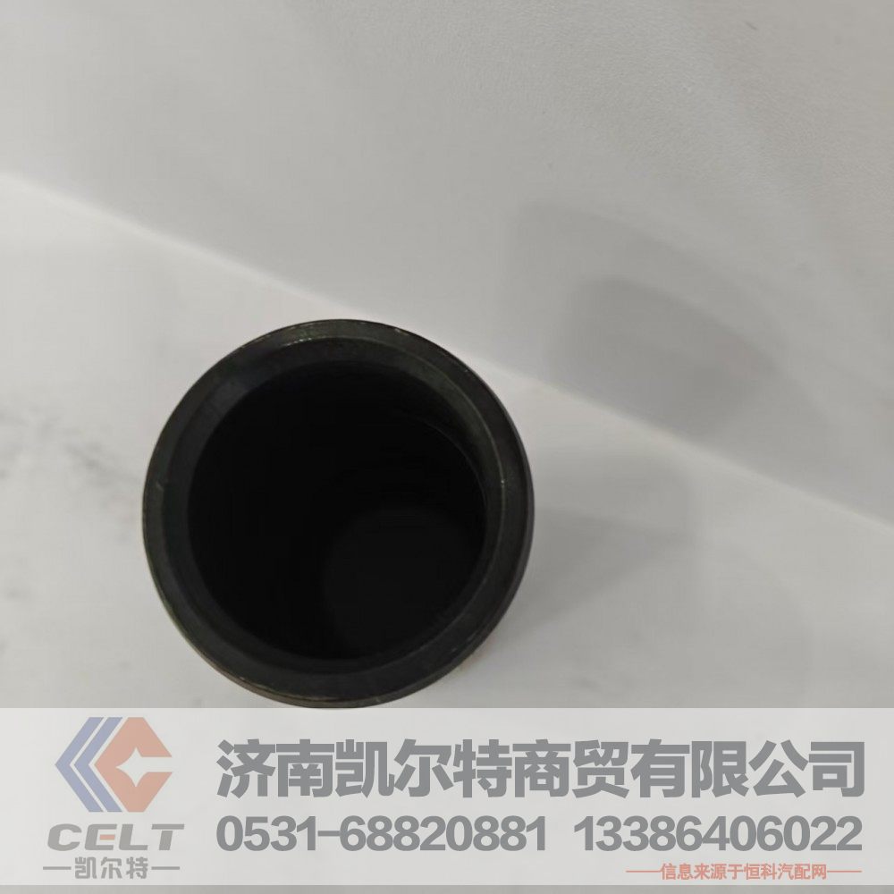 199000520078,前板簧衬套,济南凯尔特商贸有限公司