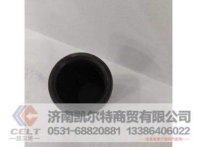 199000520078,前板簧衬套,济南凯尔特商贸有限公司