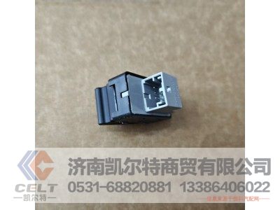 WG1642330181,控制开关,济南凯尔特商贸有限公司