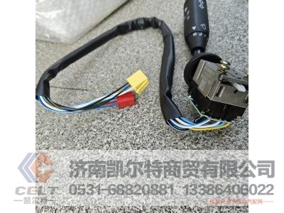 WG9730583118,组合开关,济南凯尔特商贸有限公司