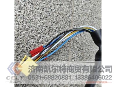 WG9730583118,组合开关,济南凯尔特商贸有限公司