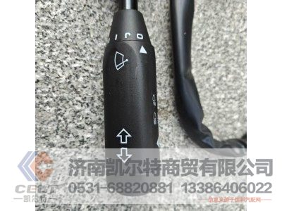 WG9730583118,组合开关,济南凯尔特商贸有限公司