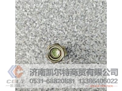 WG9100510048,传动轴螺丝,济南凯尔特商贸有限公司