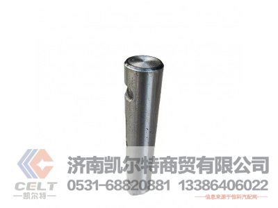 WG9100520065,弹簧销(底盘零部件),济南凯尔特商贸有限公司