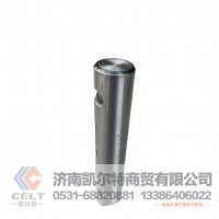 豪沃豪瀚汕德卡配件 WG9100520065(8X4双槽) 前钢板销