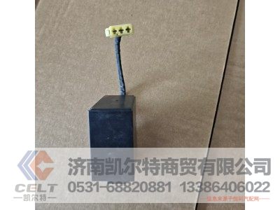 WG9120589001,轉(zhuǎn)向報(bào)警閃光器,濟(jì)南凱爾特商貿(mào)有限公司