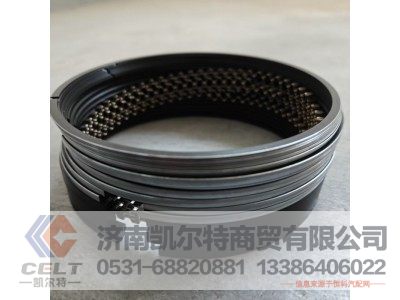 612600030114,活塞環(huán)組件,濟(jì)南凱爾特商貿(mào)有限公司