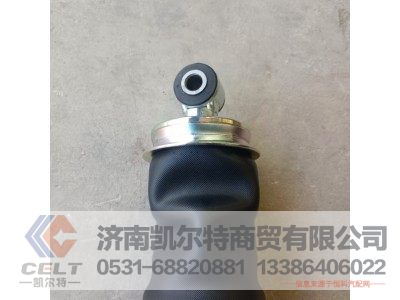 WG1642440086,后懸減振器總成(320長/空氣彈簧),濟南凱爾特商貿(mào)有限公司