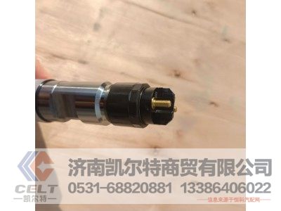 TP1000946077,噴油器,濟南凱爾特商貿(mào)有限公司