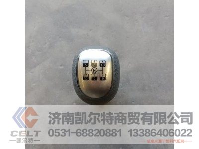 WG9700240015,变速器换挡手柄及挡位标牌总成,济南凯尔特商贸有限公司