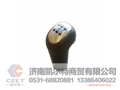 WG9700240015,变速器换挡手柄及挡位标牌总成,济南凯尔特商贸有限公司