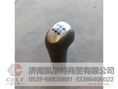 WG9700240015,变速器换挡手柄及挡位标牌总成,济南凯尔特商贸有限公司