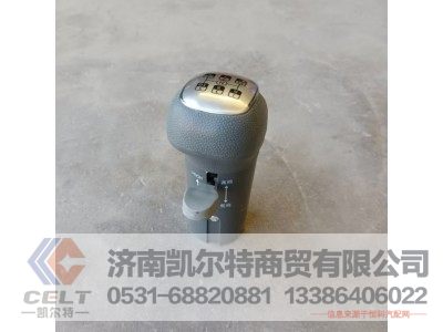 WG9700240015,变速器换挡手柄及挡位标牌总成,济南凯尔特商贸有限公司