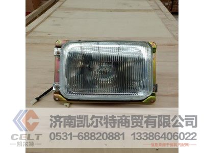 DZ9100720057,左前照灯(左侧行驶),济南凯尔特商贸有限公司