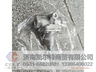 WG9000360519,溢流阀,济南凯尔特商贸有限公司