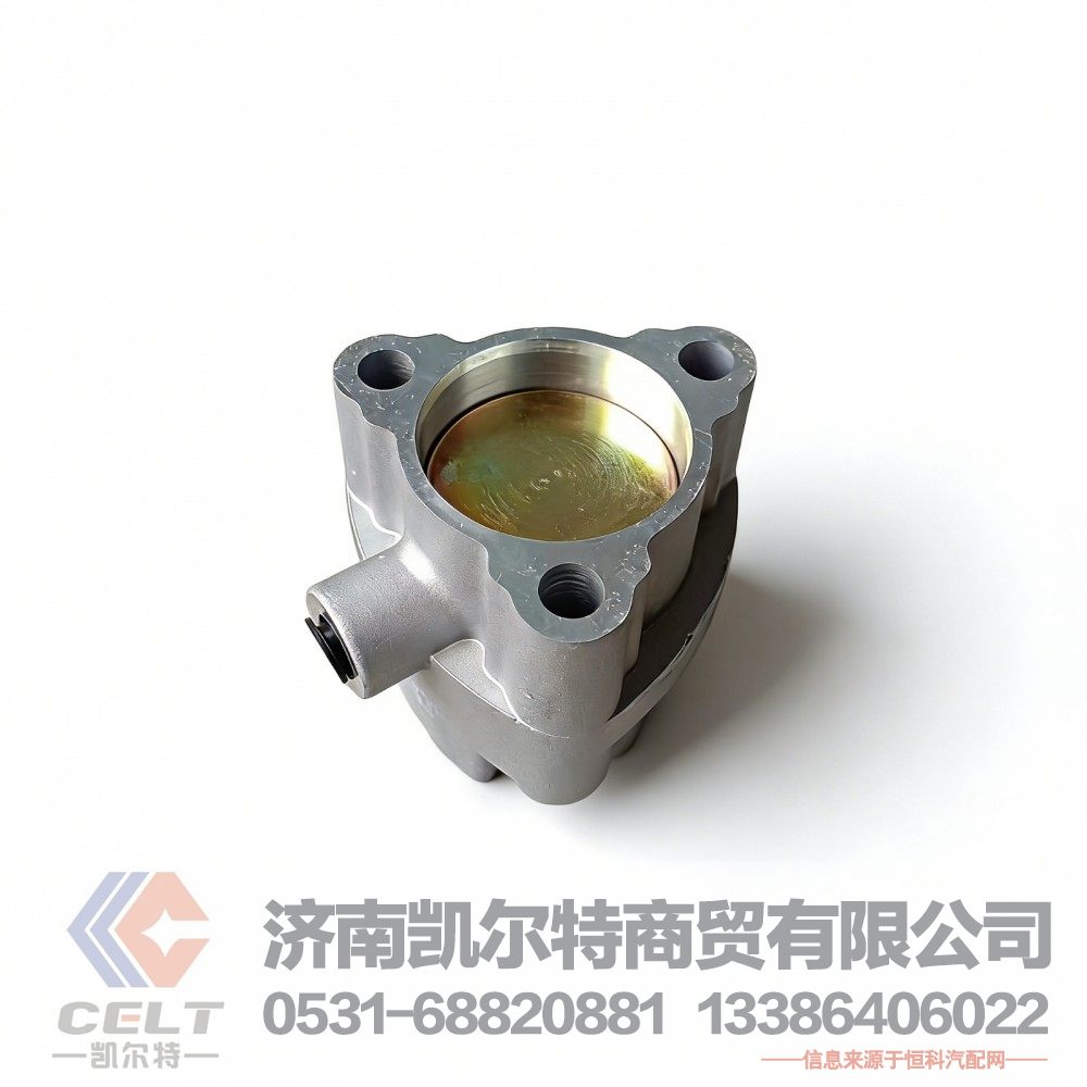 WG9981320076,气缸总成,济南凯尔特商贸有限公司