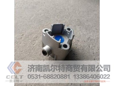 WG9981320076,气缸总成,济南凯尔特商贸有限公司 WG9981320076,气缸总成,济南凯尔特商贸有限公司