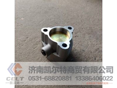 WG9981320076,气缸总成,济南凯尔特商贸有限公司 WG9981320076,气缸总成,济南凯尔特商贸有限公司