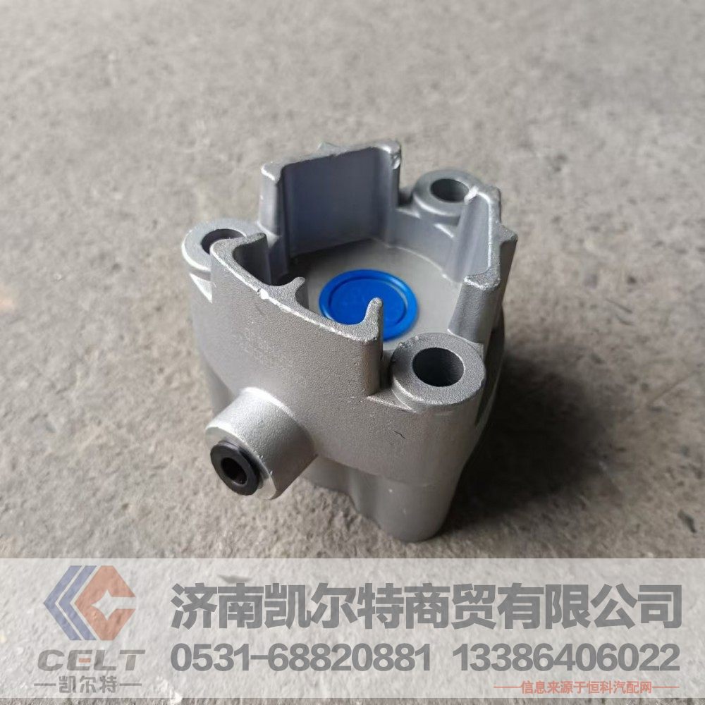 WG9981320076,气缸总成,济南凯尔特商贸有限公司