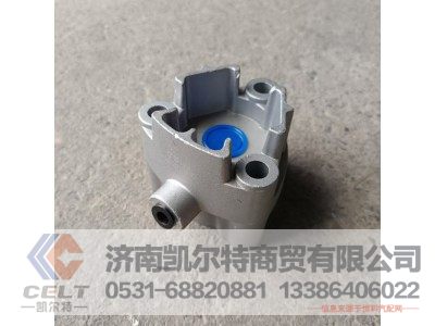WG9981320076,气缸总成,济南凯尔特商贸有限公司 WG9981320076,气缸总成,济南凯尔特商贸有限公司
