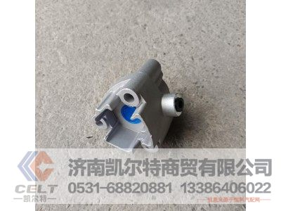 WG9981320076,气缸总成,济南凯尔特商贸有限公司 WG9981320076,气缸总成,济南凯尔特商贸有限公司