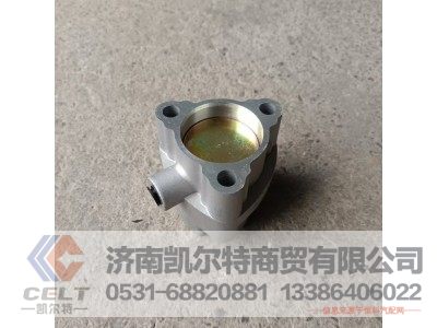 WG9981320076,气缸总成,济南凯尔特商贸有限公司 WG9981320076,气缸总成,济南凯尔特商贸有限公司