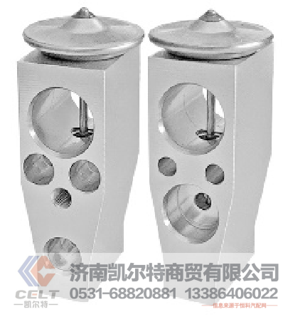 DS54111021,膨胀阀,济南凯尔特商贸有限公司