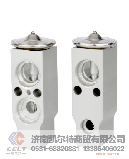 DZ13241821115,膨胀阀（f2000用）/西安泰德产,济南凯尔特商贸有限公司