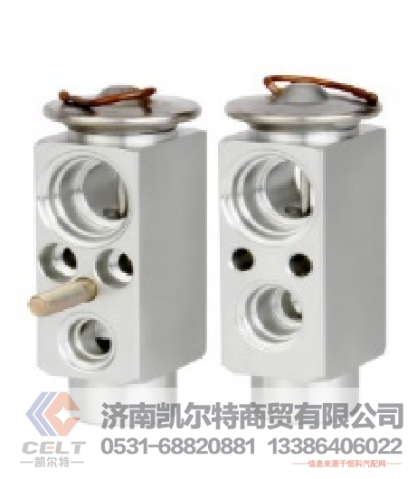 8106Z45-016,膨胀阀,济南凯尔特商贸有限公司
