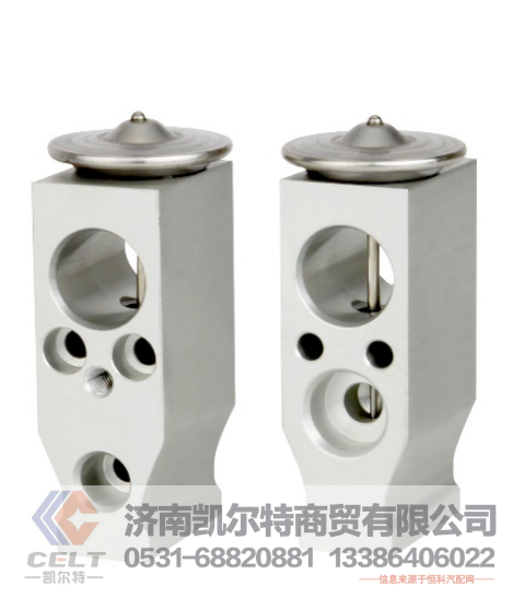 DZ13241841065,膨胀阀,济南凯尔特商贸有限公司