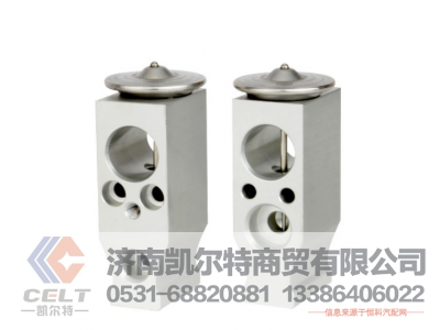 DZ13241841065,膨胀阀,济南凯尔特商贸有限公司