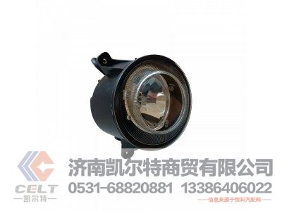 WG9925721009,前雾灯(左),济南凯尔特商贸有限公司