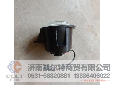 WG9925721009,前雾灯(左),济南凯尔特商贸有限公司