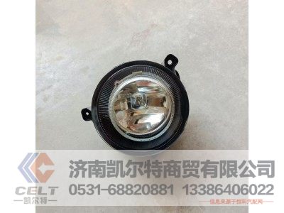WG9925721009,前雾灯(左),济南凯尔特商贸有限公司