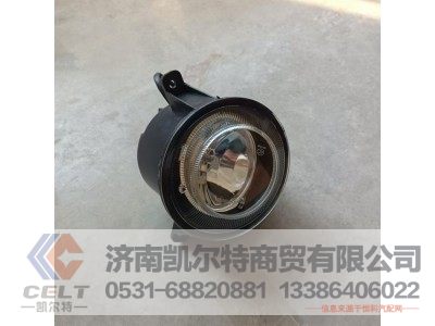 WG9925721009,前雾灯(左),济南凯尔特商贸有限公司