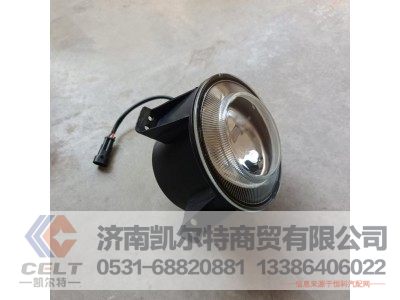 WG9925721010,前雾灯(右),济南凯尔特商贸有限公司