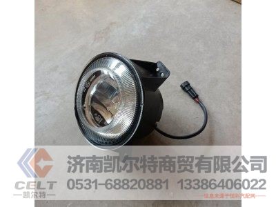 WG9925721010,前雾灯(右),济南凯尔特商贸有限公司