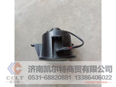 WG9925721010,前雾灯(右),济南凯尔特商贸有限公司