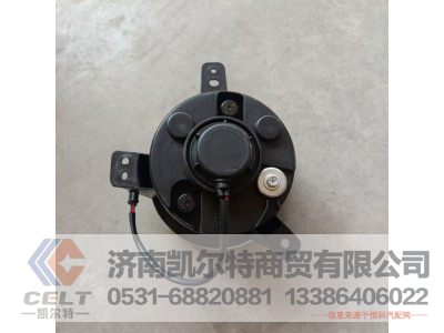 WG9925721010,前雾灯(右),济南凯尔特商贸有限公司