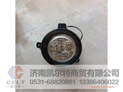 WG9925721010,前雾灯(右),济南凯尔特商贸有限公司