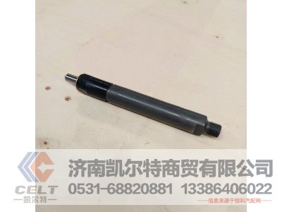 61560080276,喷油泵总成,济南凯尔特商贸有限公司