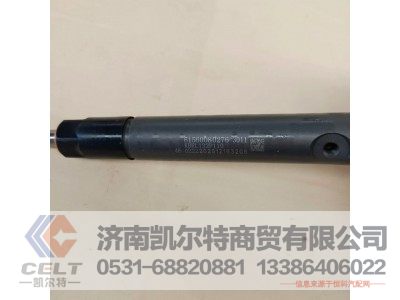 61560080276,喷油泵总成,济南凯尔特商贸有限公司