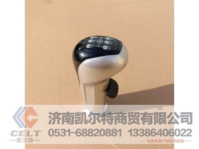 WG9925240020,变速器换挡手柄及挡位标牌总成(10挡),济南凯尔特商贸有限公司