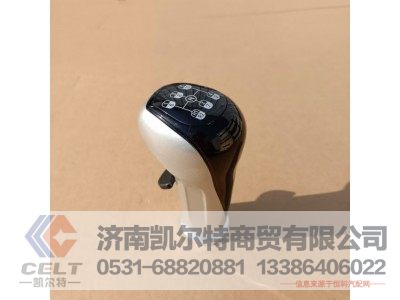 WG9925240020,变速器换挡手柄及挡位标牌总成(10挡),济南凯尔特商贸有限公司