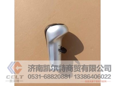 WG9925240020,变速器换挡手柄及挡位标牌总成(10挡),济南凯尔特商贸有限公司
