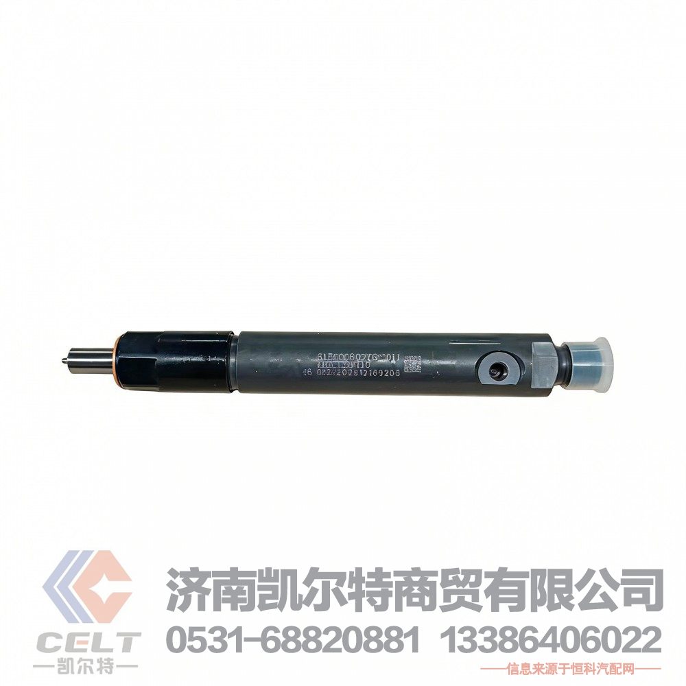61560080276,喷油泵总成,济南凯尔特商贸有限公司
