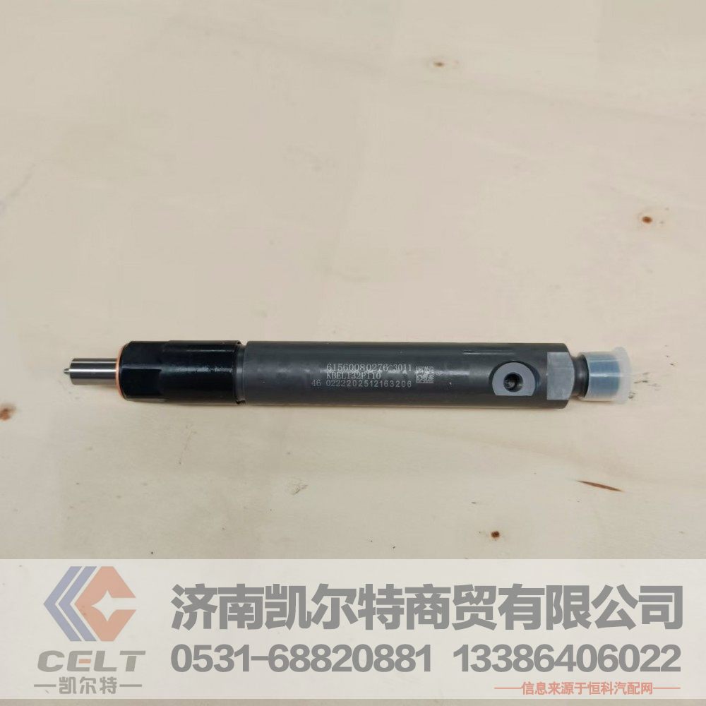 61560080276,喷油泵总成,济南凯尔特商贸有限公司