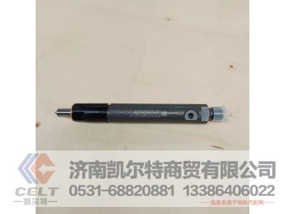 61560080276,喷油泵总成,济南凯尔特商贸有限公司