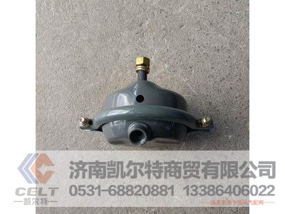 WG9100364022,前盘制动气室(22,济南凯尔特商贸有限公司