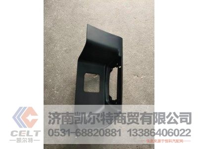 WG1664248105,踏板,济南凯尔特商贸有限公司